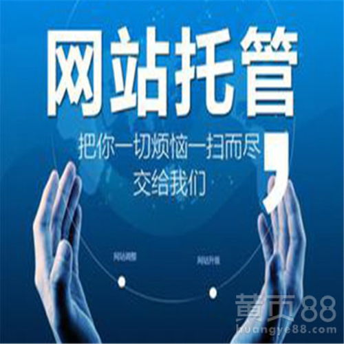 汽車(chē)清洗機(jī)網(wǎng)站建設(shè)優(yōu)化一條龍服務(wù) 技術(shù)推廣服務(wù)的全面策略